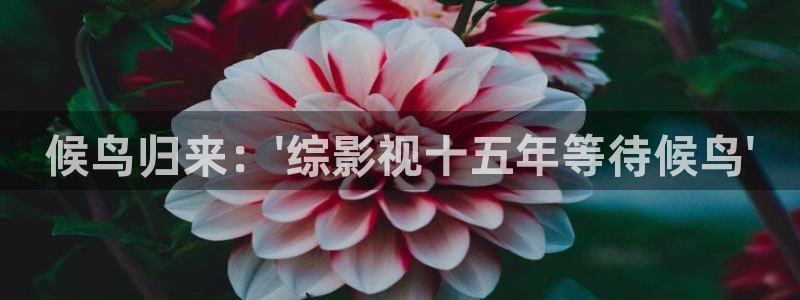 美女久久午夜影院